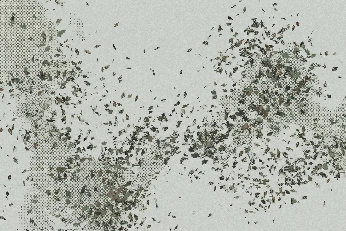 How to calculate a business risk: a framework for founders